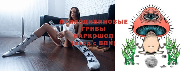 гидра Магас