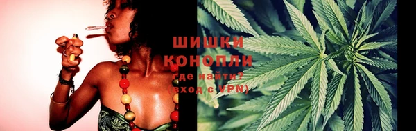 гидра Магас