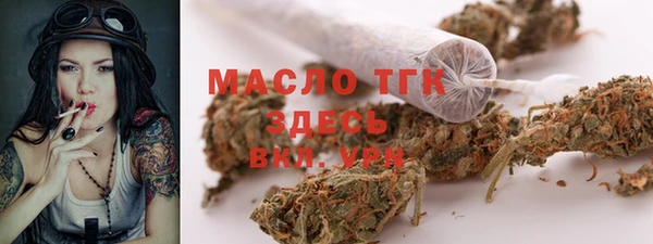 гидра Магас