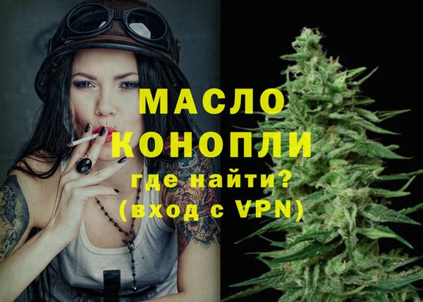 гидра Магас
