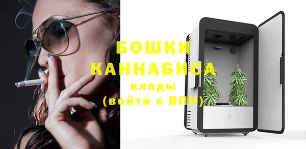 гидра Магас