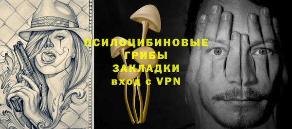 гидра Магас